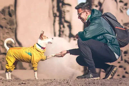 O maior ato de amor que você pode dar ao seu cão é deixá-lo ser cachorro. - Baut