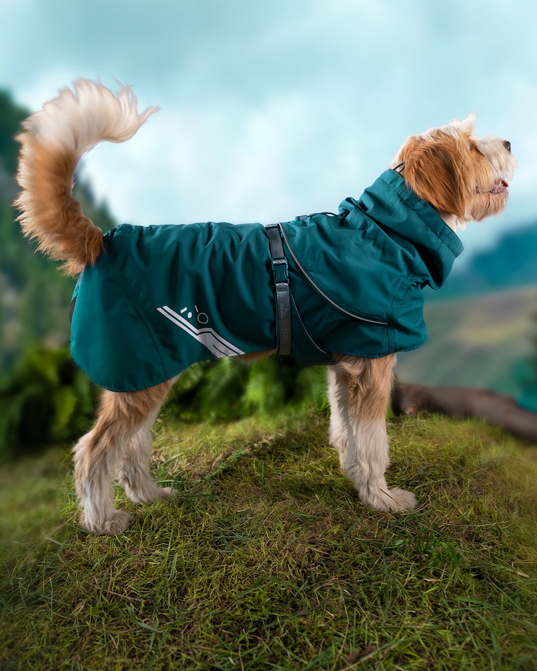 Capa de Chuva e corta vento BEIJA - FLOR®. - Baut