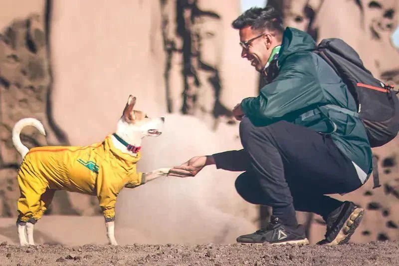 O maior ato de amor que você pode dar ao seu cão é deixá-lo ser cachorro. - Baut