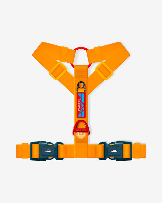 Y CONQUISTAS® chest harness series 2.0 Sunset Orange