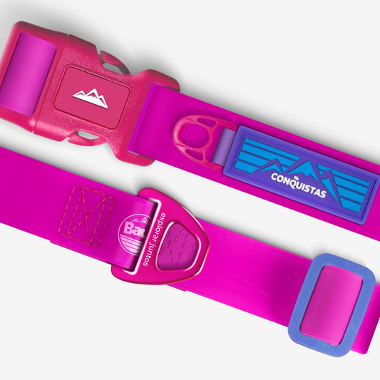 Coleira CONQUISTAS® Série 2.0 Bloom Violet - Baut