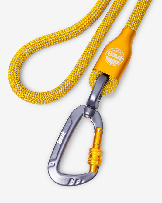 Guia de corda ANJO® Série 2.0 Special Yellow - Baut
